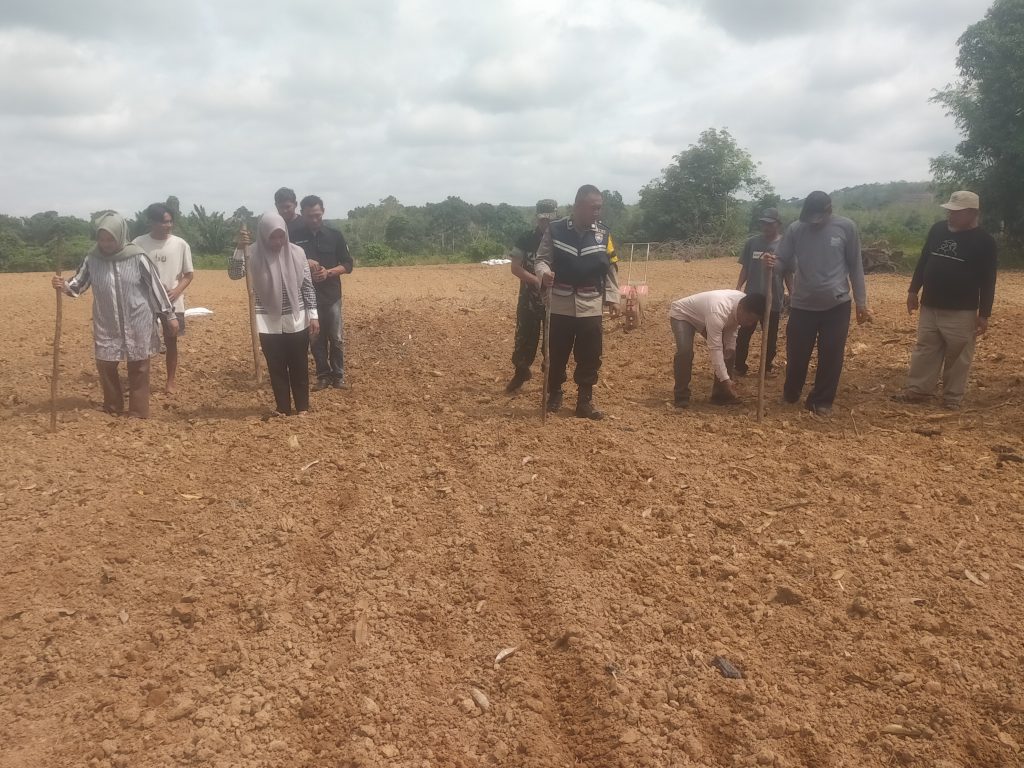 Gambar: Datuk Rio ikut menanam jagung