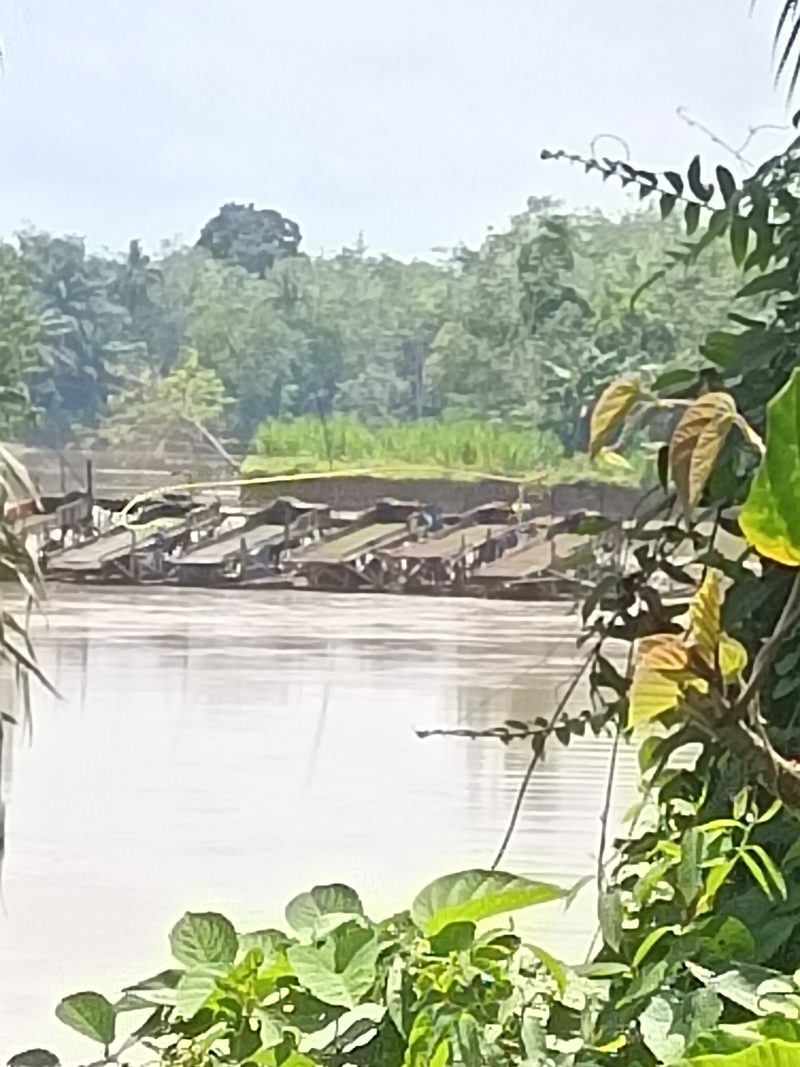 filter: 0; fileterIntensity: 0.0; filterMask: 0; captureOrientation: 90;
brp_mask:0;
brp_del_th:null;
brp_del_sen:null;
delta:null;
module: photo;hw-remosaic: false;touch: (-1.0, -1.0);sceneMode: 32768;cct_value: 0;AI_Scene: (-1, -1);aec_lux: 0.0;aec_lux_index: 0;albedo:  ;confidence:  ;motionLevel: -1;weatherinfo: null;temperature: 41;